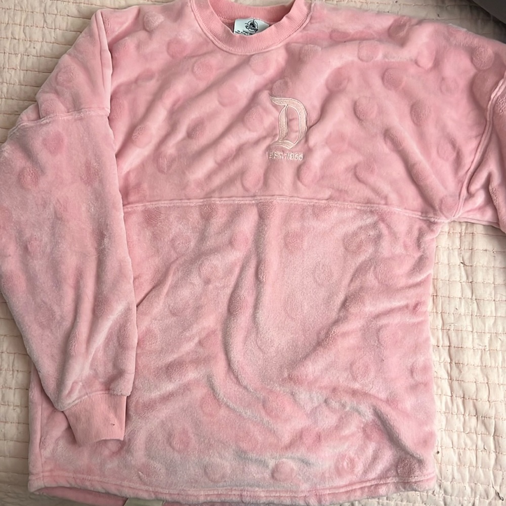 Disneyland Spirit Jersey